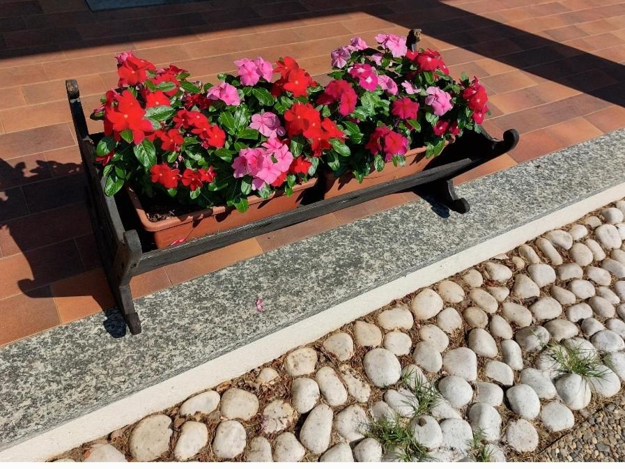 Skylab Otel Gozzano Dış mekan fotoğraf